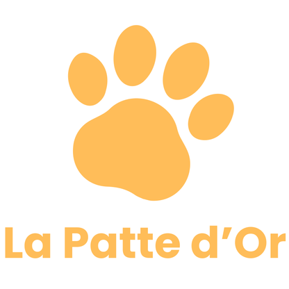 La "Balle-Proie" Interactive par La Patte d'Or