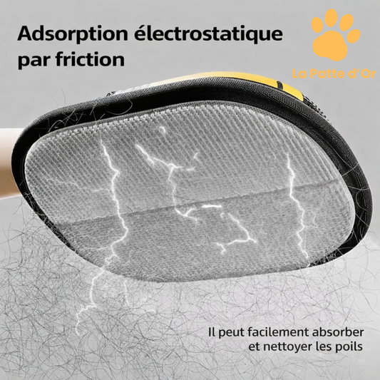 L'Attrape-Poils Magique – Gant de Brossage & Nettoyage Double Face