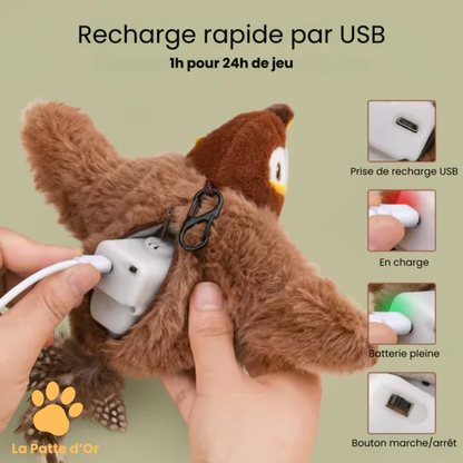 "L'oiseau proie" Interactif par La Patte d'Or