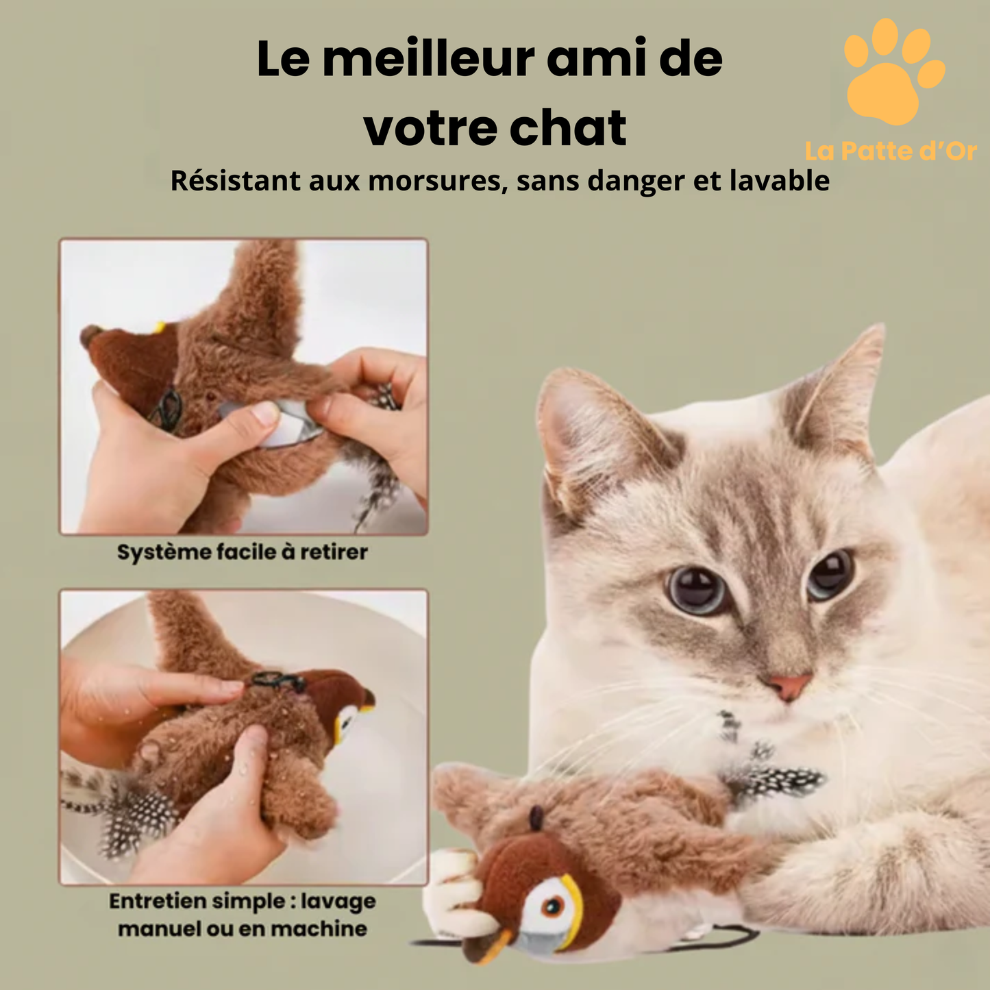 "L'oiseau proie" Interactif par La Patte d'Or