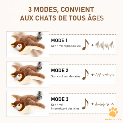 "L'oiseau proie" Interactif par La Patte d'Or