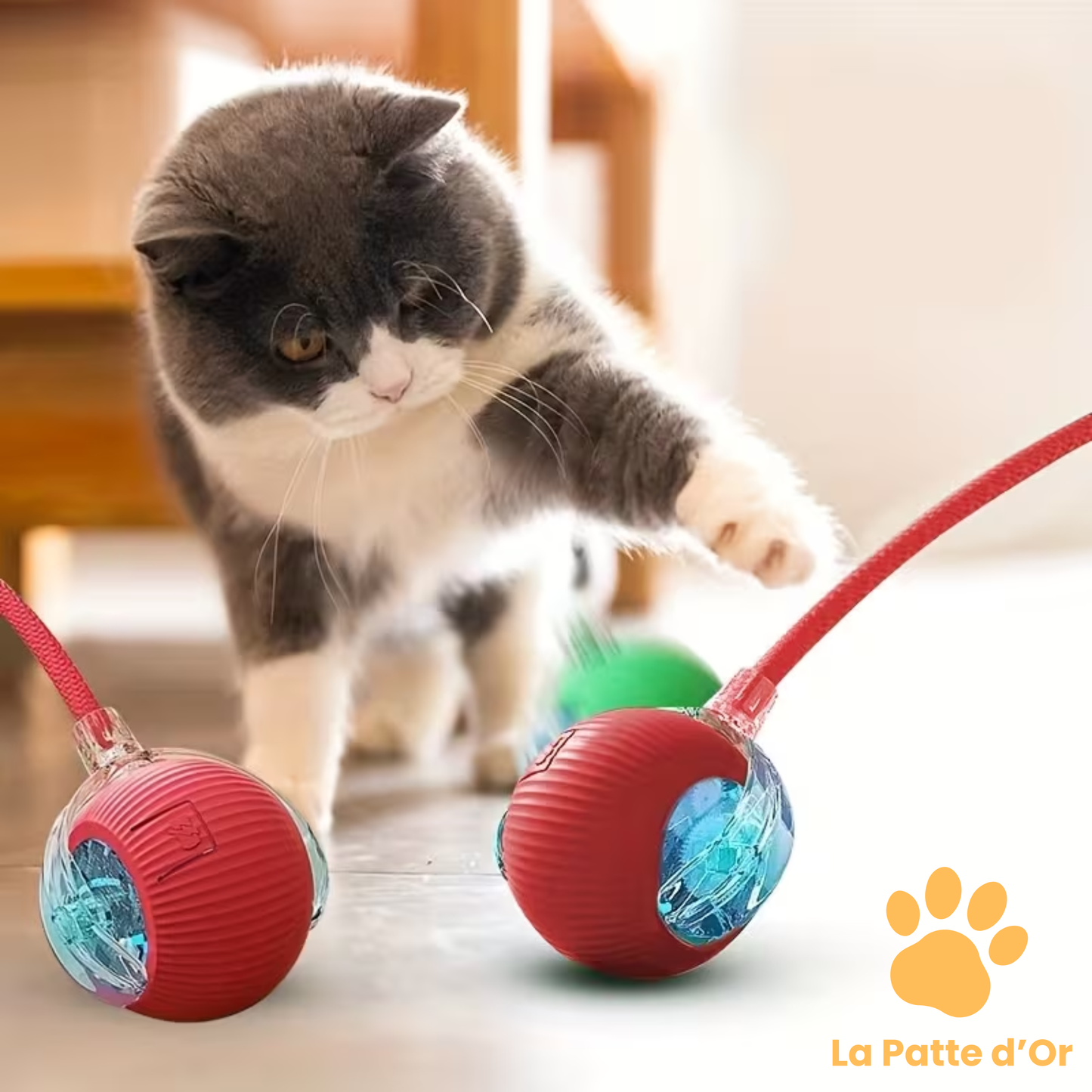 La "Balle-Proie" Interactive par La Patte d'Or