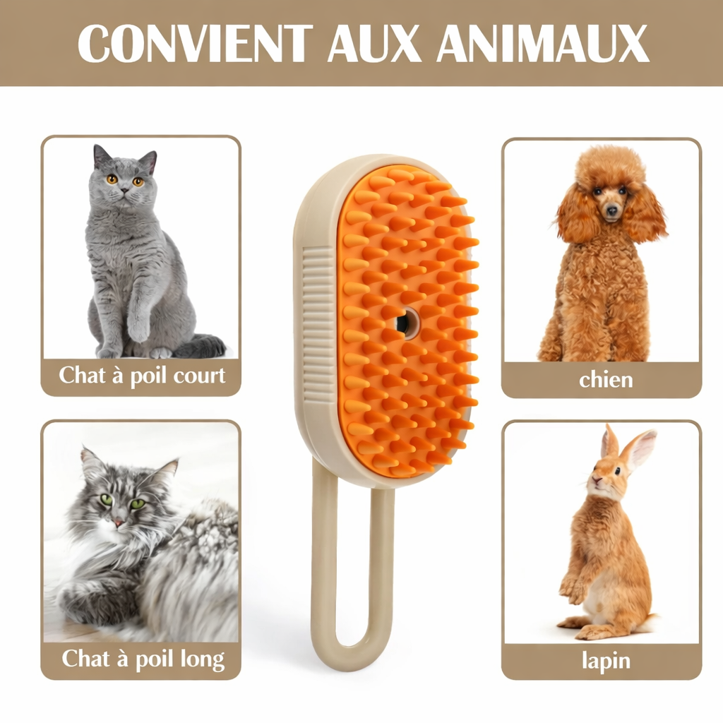 La Brosse "Spa" 3-en-1 : Massage, Nettoyage & Brume Apaisante