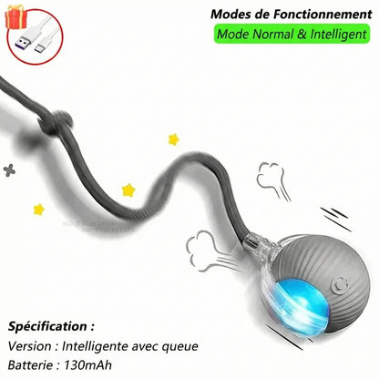 La "Balle-Proie" Interactive par La Patte d'Or