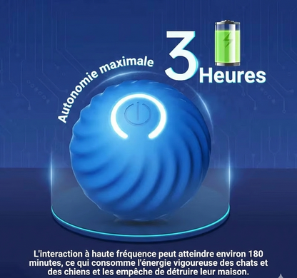 L'Anti-Ennui Ultime : La Balle Intelligente par La Patte d'Or