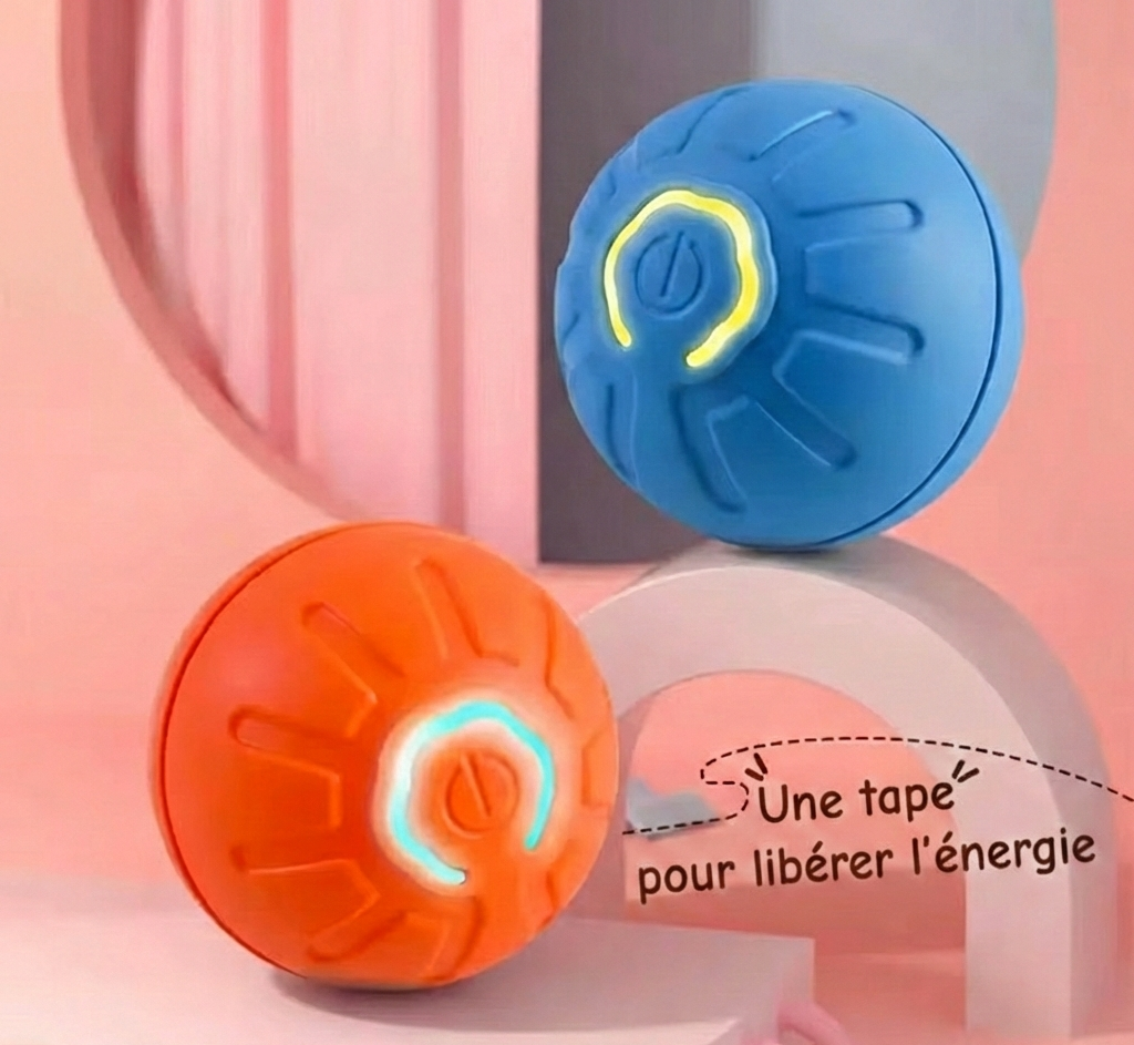 L'Anti-Ennui Ultime : La Balle Intelligente par La Patte d'Or