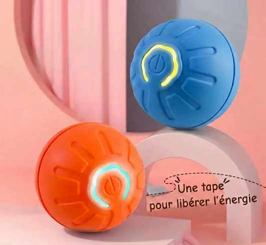 L'Anti-Ennui Ultime : La Balle Intelligente par La Patte d'Or