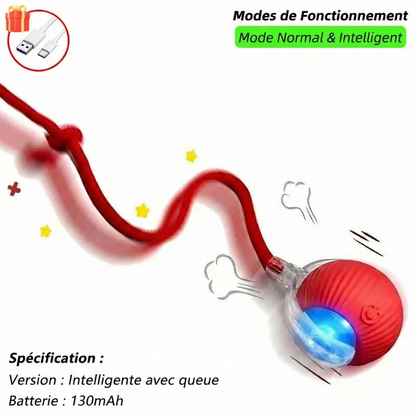 La "Balle-Proie" Interactive par La Patte d'Or