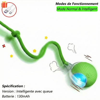 La "Balle-Proie" Interactive par La Patte d'Or