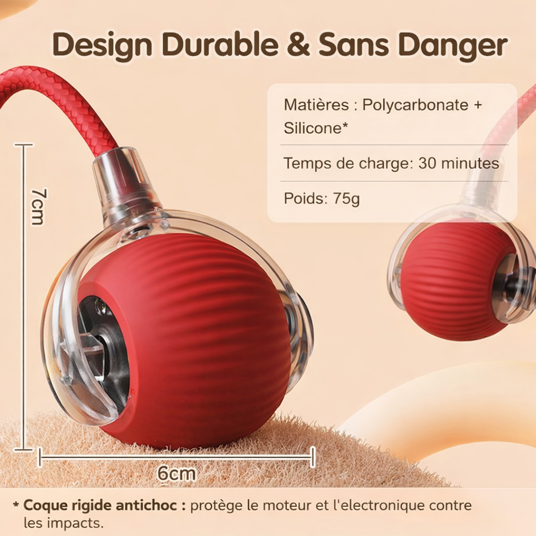 La "Balle-Proie" Interactive par La Patte d'Or