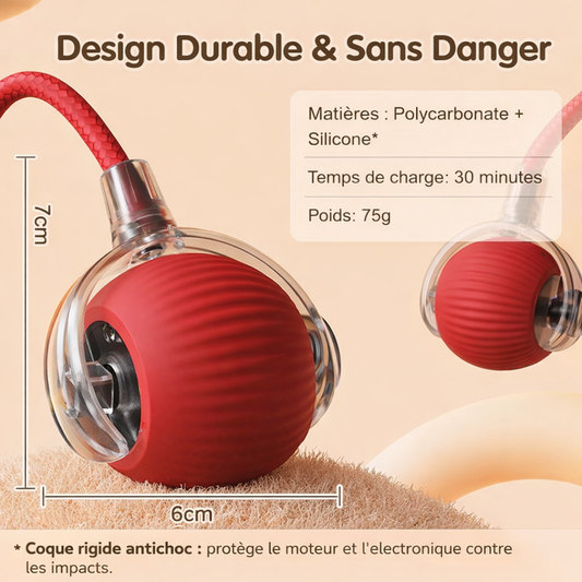 La "Balle-Proie" Interactive par La Patte d'Or