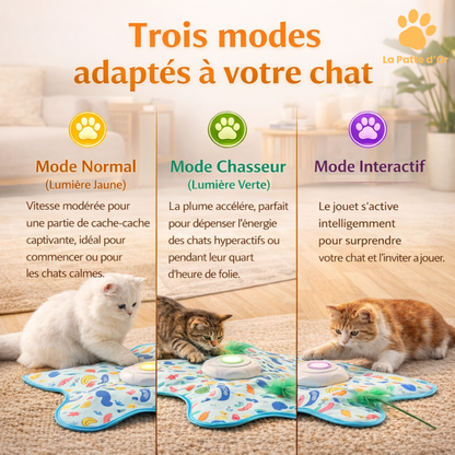 Le "Chasse-Ennui" Interactif 3-en-1 par la Patte d'Or