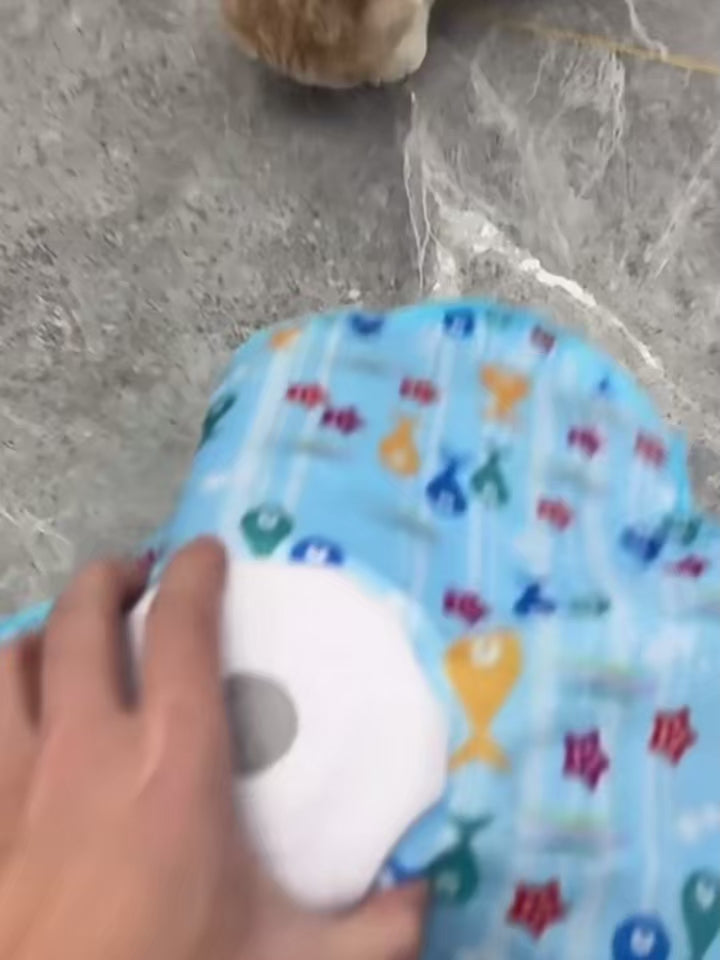 Charger la vidéo : 